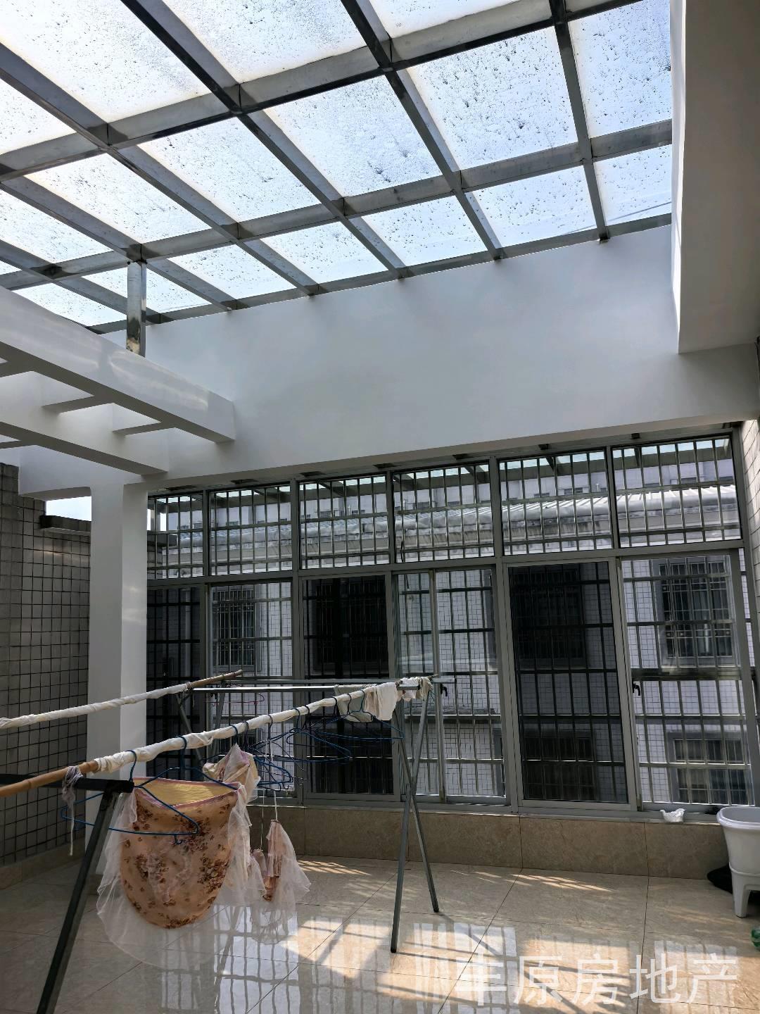 实拍图