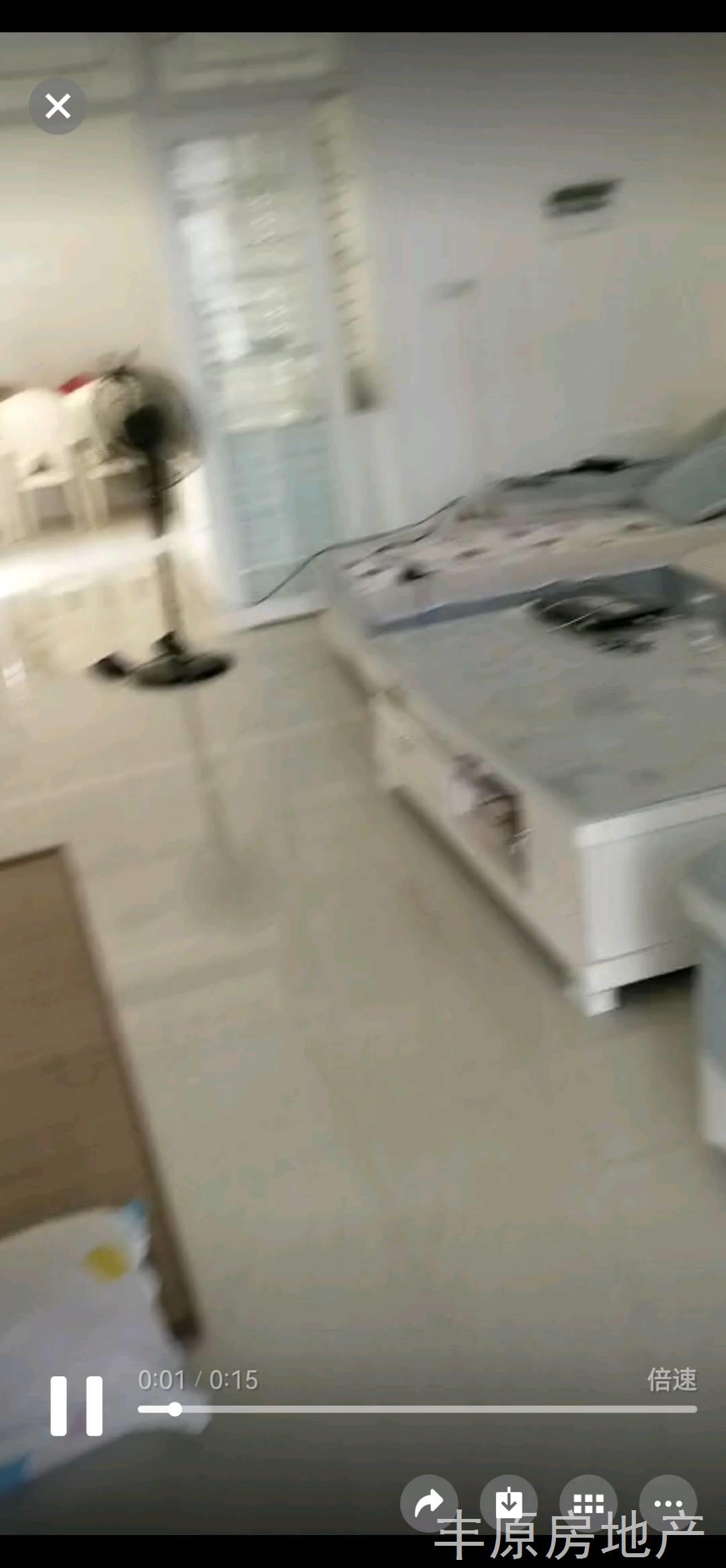 实拍图